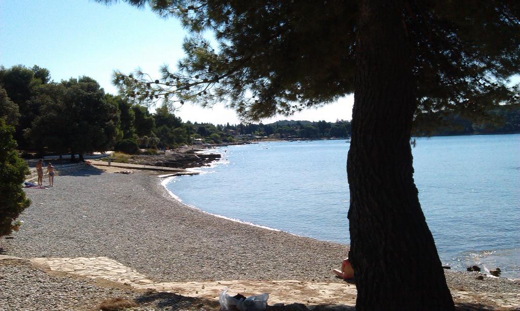 Apartments Kump Rovinj Zewnętrze zdjęcie